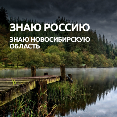 Интерактивные игры Правительства Новосибирской области